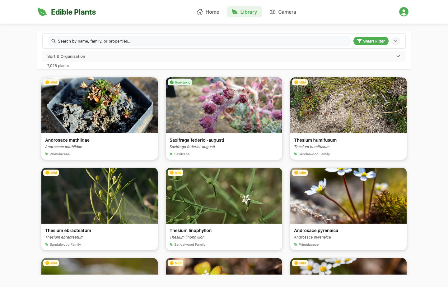 Edible Plants Project gallery - Desktop view 6