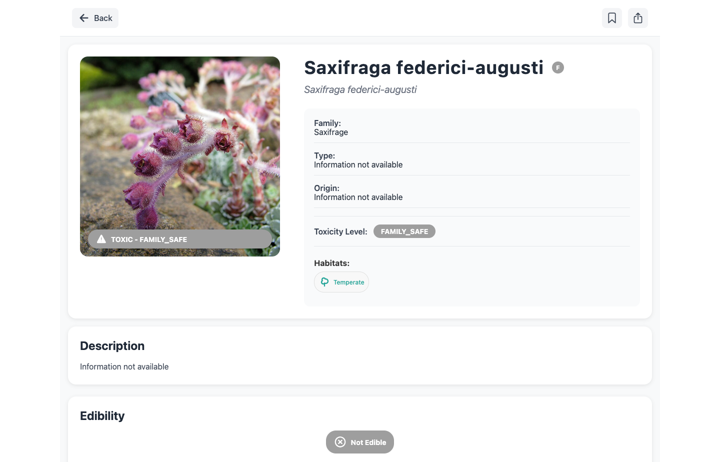 Edible Plants Project gallery - Desktop view 7