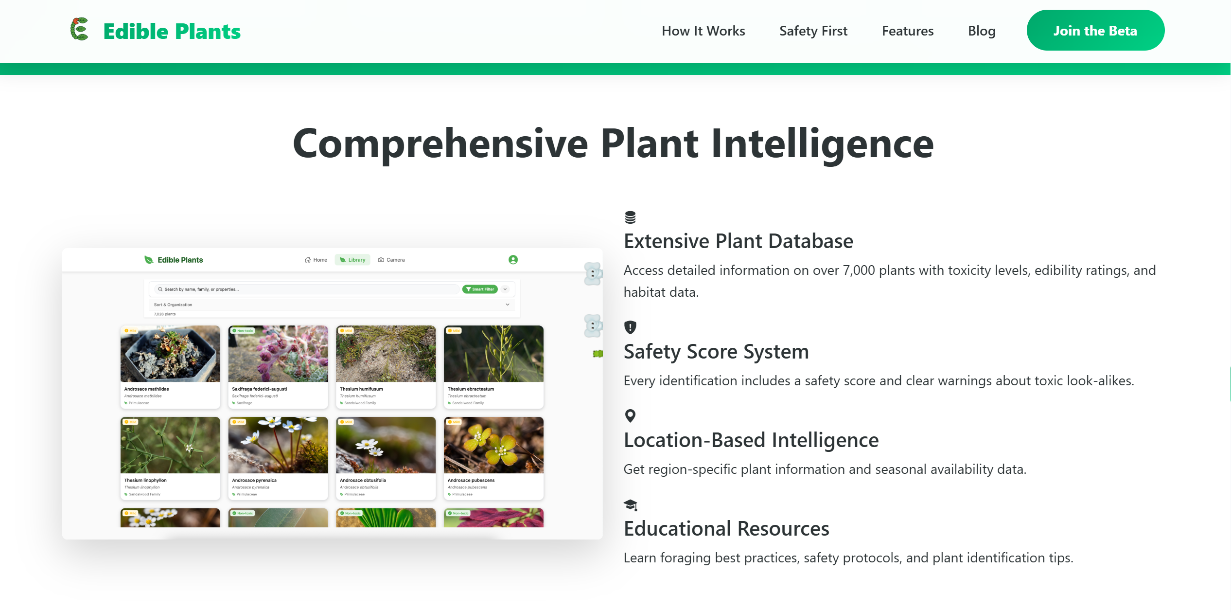 Edible Plants Project gallery - Desktop view 8